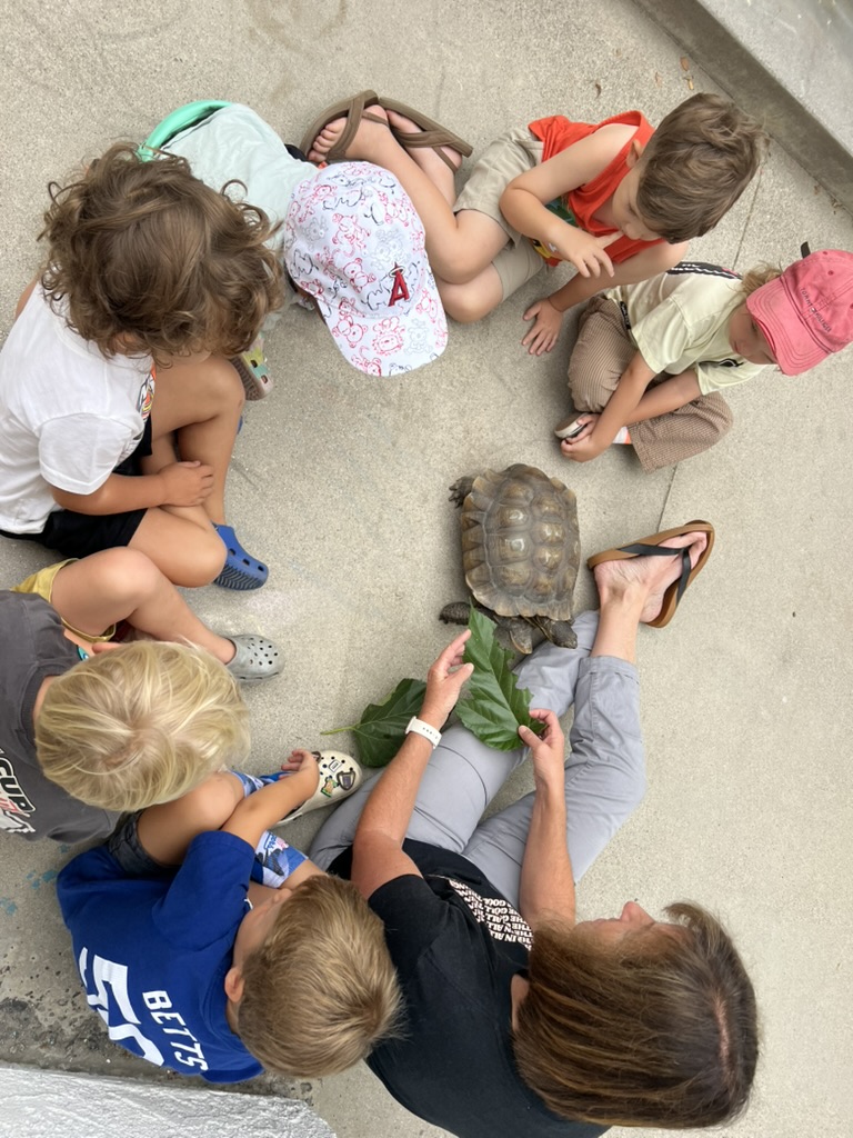 long-beach-preschool